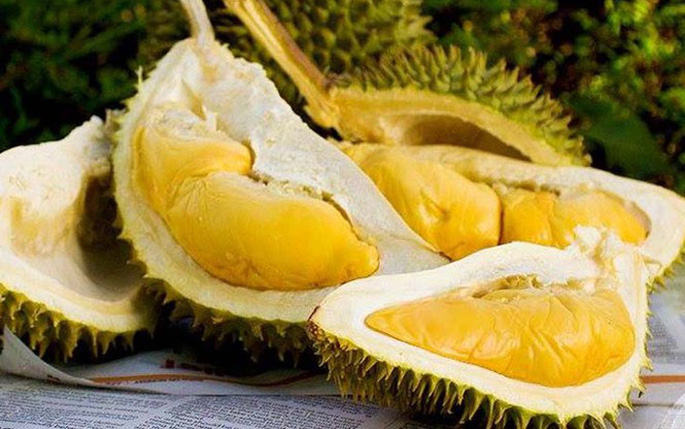 Khám phá trái cây Việt Nam: Trái sầu riêng